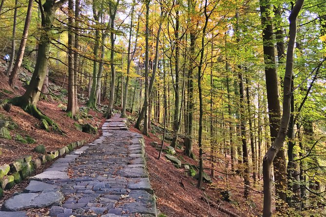 GUIDED TOUR: Hiking to Stoltzekleiven - Common Questions