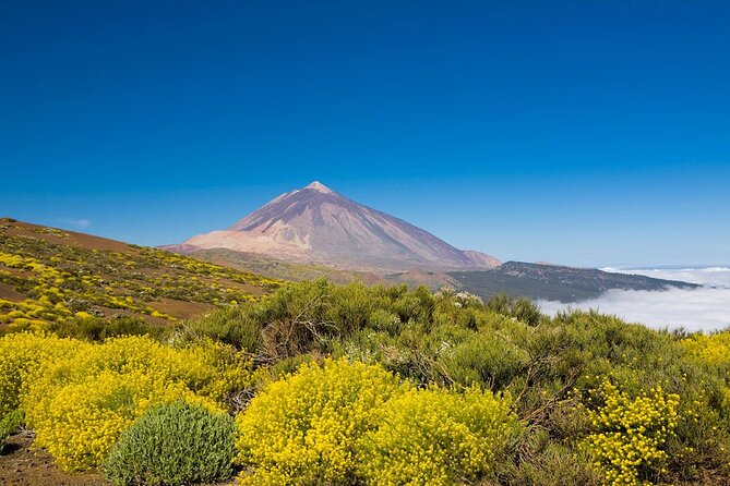 Guided Tour to Teide National Park in Tenerife - The Sum Up