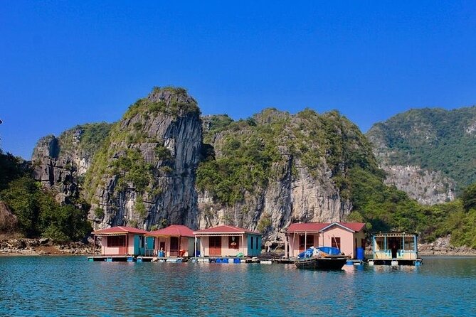 Ha Long Bay Day Cruise, Cave, Kayaking, Swimming, Bus & Lunch - The Sum Up