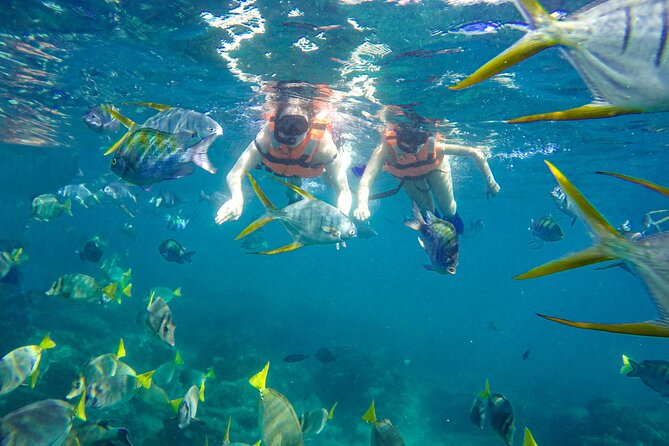 Half Day Cabo Snorkel Adventure With Lunch and Open Bar - The Sum Up