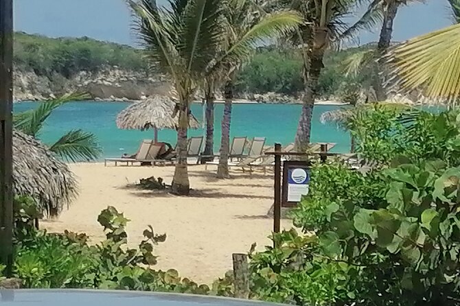Half-Day City Tour Cultural From Punta Cana for Small Group - Reviews and Testimonials From Travelers