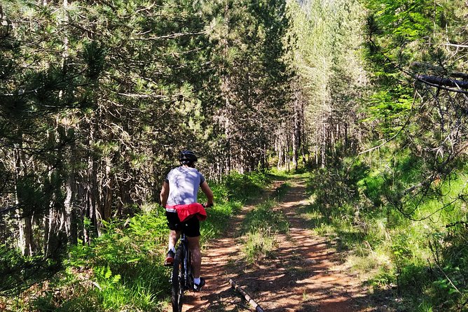 Half-Day E-Mountain Bike Adventure at Aoos Lake Metsovo - Common Questions