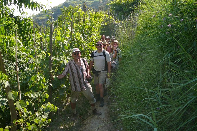 Half-Day East Coast Hike in Ischia Island With Pick-Up - Cultural and Historical Points of Interest