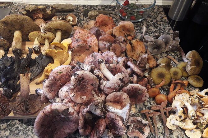Half Day Gastronomic Wild Walk in Girona - The Sum Up