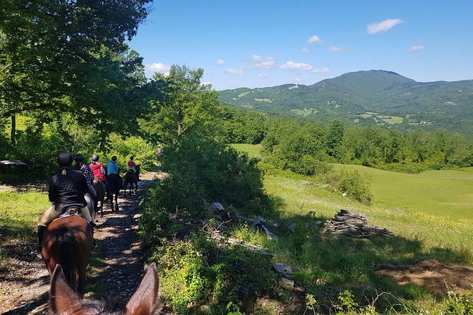 Half-Day Horseback Ride in Tuscany for Beginner Riders - Inspiration From Traveler Photos