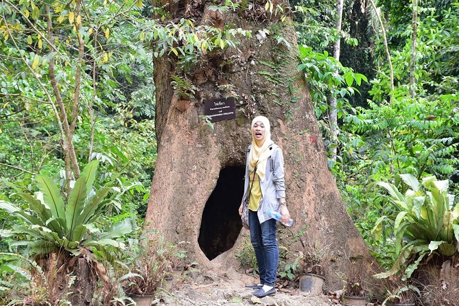 Half-Day Jungle Tour Including Crystal Pool and Krabi Hot Springs - Tour Schedule and Meeting Point