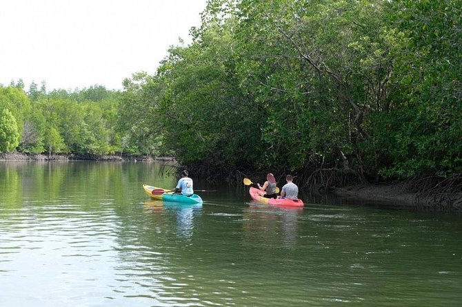 Half Day Mangrove Forest Kayaking Tour From Koh Lanta - Beach Break and Refreshments