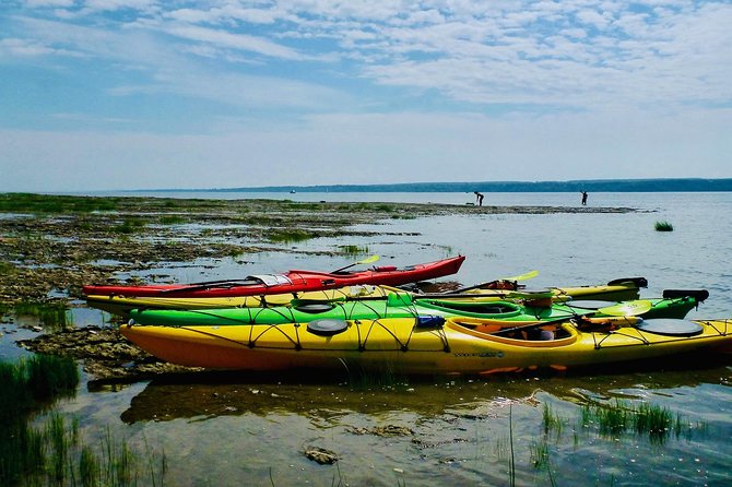 Half-Day Orleans Island Small-Group Sea Kayaking Tour - Common Questions