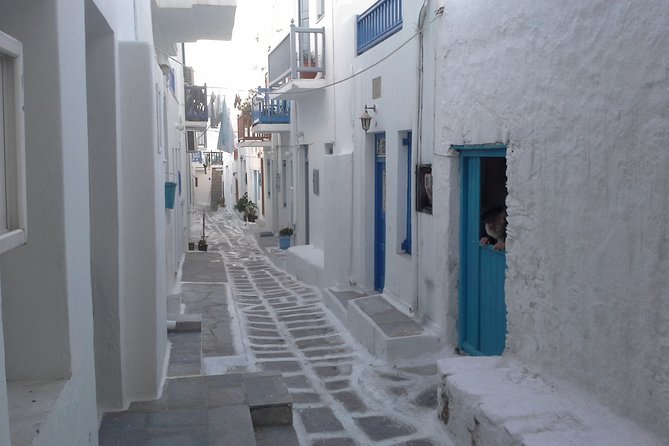 Half-Day Private Guided Tour in Mykonos - Traveler Photos and Reviews