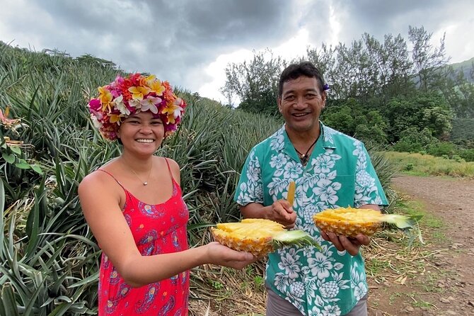 Half-Day Private Highlights Tour by 4x4, Moorea - Pricing and Booking Information