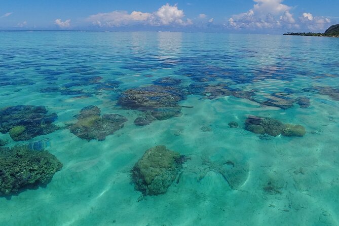 Half-Day Private Lagoon Tour by Boat in French Polynesia - Safety and Security Measures