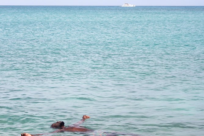 Half-Day Snorkeling and Beach Excursion in St. Maarten  - St Maarten - Common Questions
