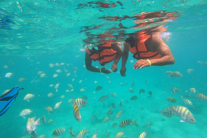 Half-Day Snorkeling Cruise and Natural Pool With Open Bar - Convenient Departure and Return Times