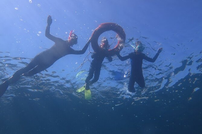 Half Day Snorkeling Experience in Kos Greece - Common Questions