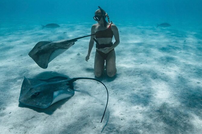 Half Day Snorkeling in Moorea - The Sum Up