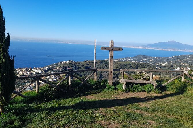 Half-Day Sorrento Private Tour by Vespa - Additional Resources and Contact Information