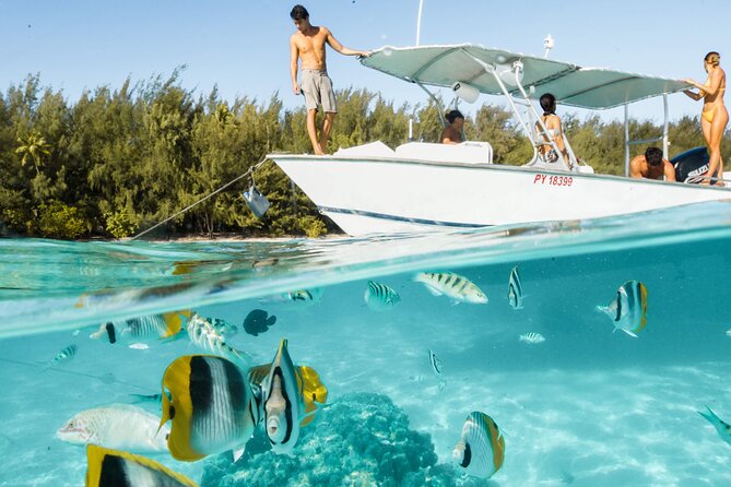 Half Day Tour Lagoon Discovery Marine Fauna Flora Small Group - Good To Know
