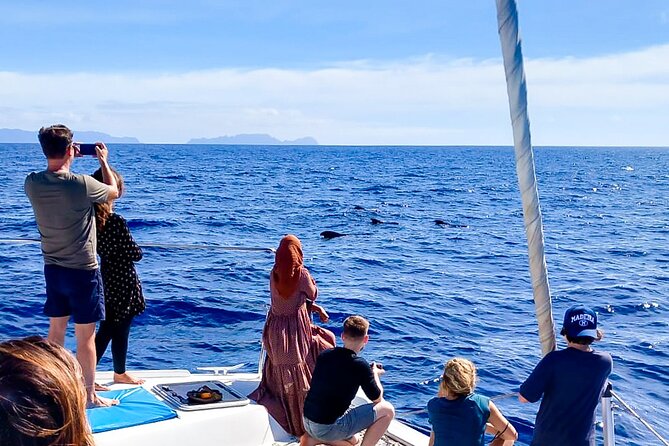 Half Day Tour on a Luxury Catamaran on Madeira Island - Departure From Funchal Marina