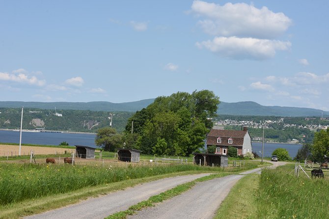 Half-Day Trip to Montmorency Falls and Ste-Anne-De-Beaupré From Quebec City - Common Questions