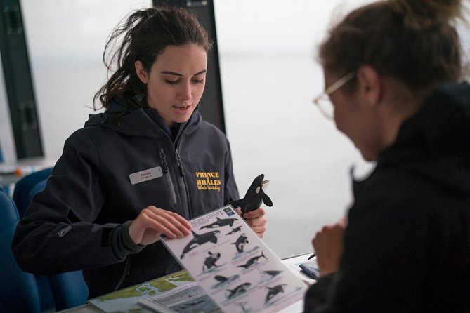 Half-Day Whale Watching Adventure From Telegraph Cove - Customer Review 2