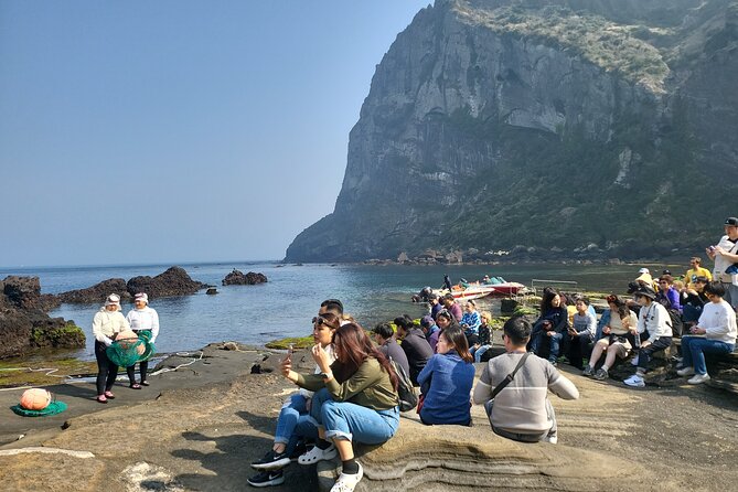 Half or Day Tour for Cruise Customers Arriving at Gangjeong Port - The Sum Up