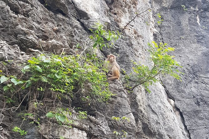 Halong Bay One Day Tour Included Bus - Booking and Cancellation Policy