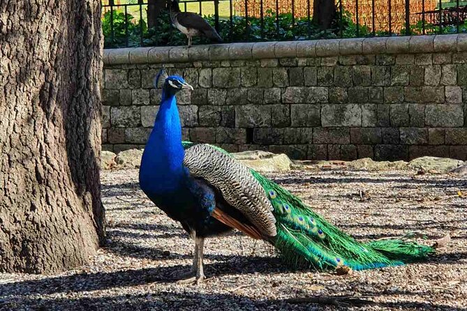 Happy Family Private Adventure in Rhodes With a Flexible Itinerary - Common Questions