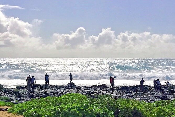 Hawaii Oahu Island Sightseeing and Food Combo Tour - Locally Produced Food and Drinks