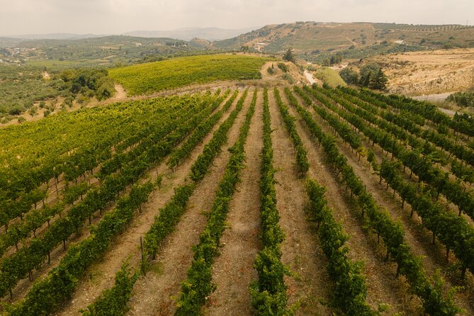 Heraklion Private Half-Day Gastronomy Diaries Experience in Lyrarakis Winery - Meeting and Pickup