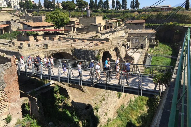 Herculaneum Private Walking Guided Tour 2 Hours - Common Questions