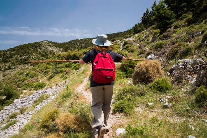 Hiking Above Kalamata - Common Questions