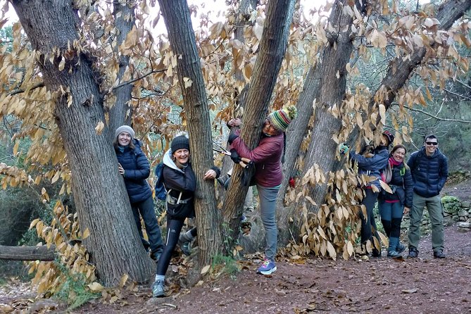 Hiking & Cheese Tasting: Private Tour From Valencia - Tips for a Memorable Tour Experience