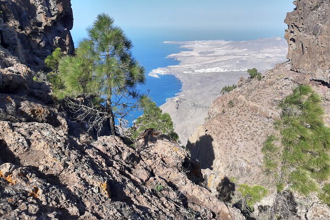 Hiking Experience in the North of Gran Canaria - Additional Information and Assistance