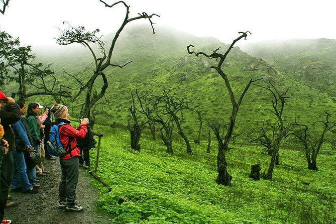 Hiking in Lima, Lomas De Lachay - Cancellation Policy and Refund Options
