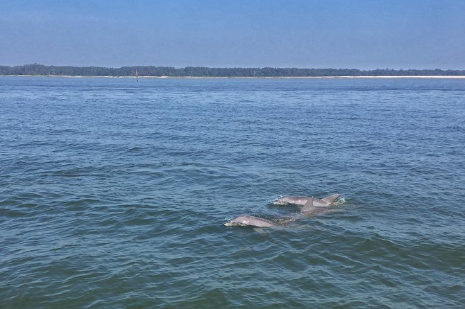 Hilton Head Morning Dolphins & Donuts Cruise - Directions