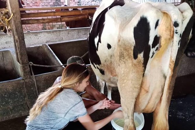 Ho Chi Minh City Full-Day Farm Trip With Healthy Cooking Class - Miscellaneous Information