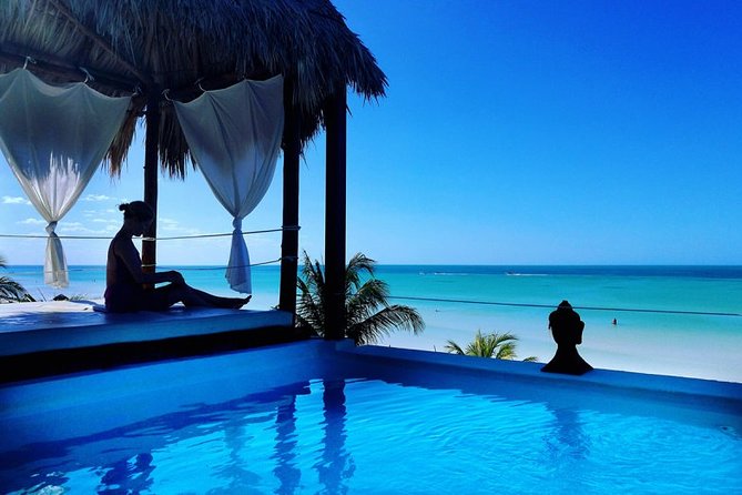 Holbox Island Full Day Trip With Lunch From Playa Del Carmen - The Sum Up