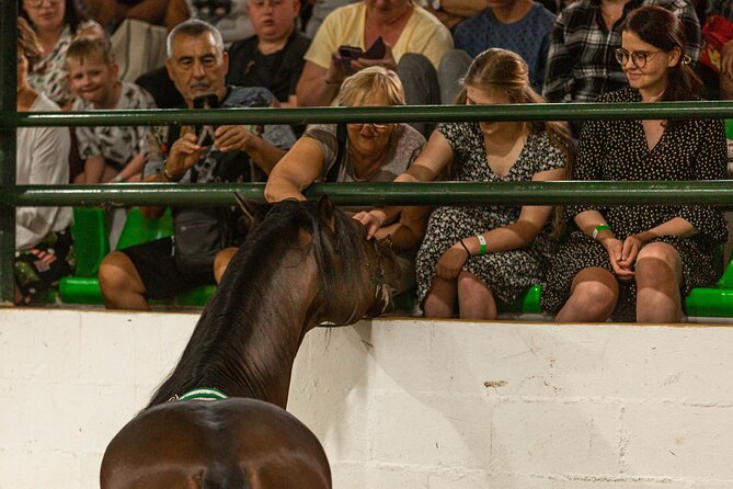 Horse and Flamenco Show in Malaga With Dinner - Common Questions