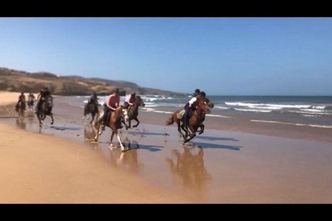Horse Riding Agadir - The Sum Up