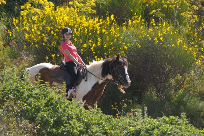 Horse Riding in Kusadasi - The Sum Up