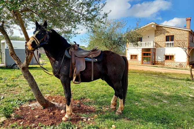 Horse Riding in the Gargano National Park - Common Questions