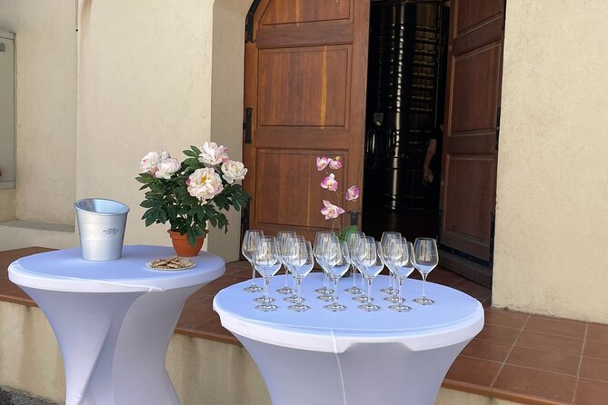 Horse Riding in the Vineyards of Ramatuelle Wine Tasting - Additional Information and Resources
