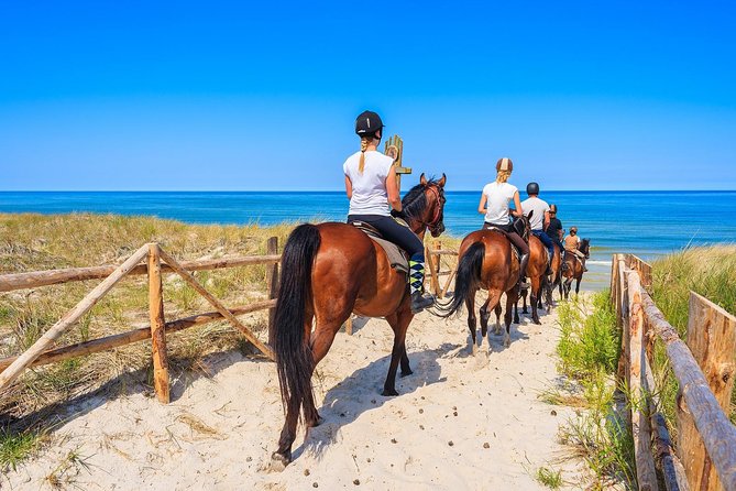 Horse Riding Morning Ride in Paros - Convenient Location and Accessibility
