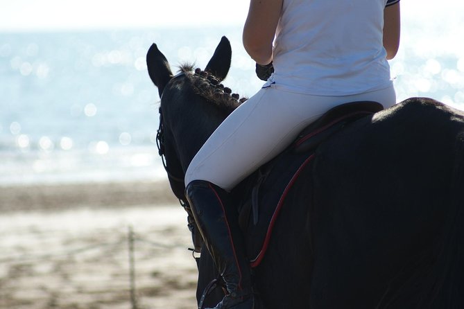 Horse Riding on the Beach, Rhodes - The Sum Up