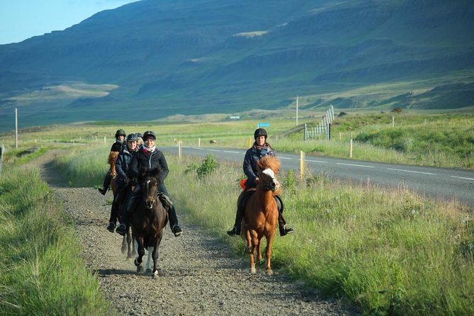 Horse Riding Tour to the Glacier River Delta With Waterfall - Meeting Point and Duration