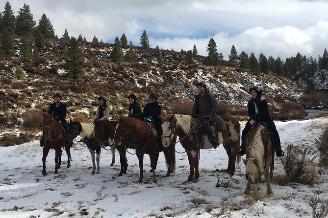 Horseback Riding Adventure From Reno - The Sum Up