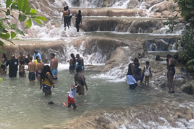 Horseback Riding and Swimming in Dunns River Falls - Traveler Photos and Reviews