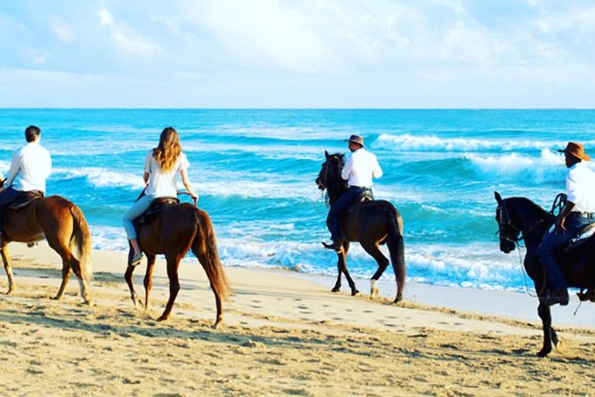 Horseback Riding on a Punta Cana Beach - Good To Know