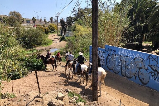 Horseback Riding on Private Beach and Puerto Nuevo From Rosarito - The Sum Up