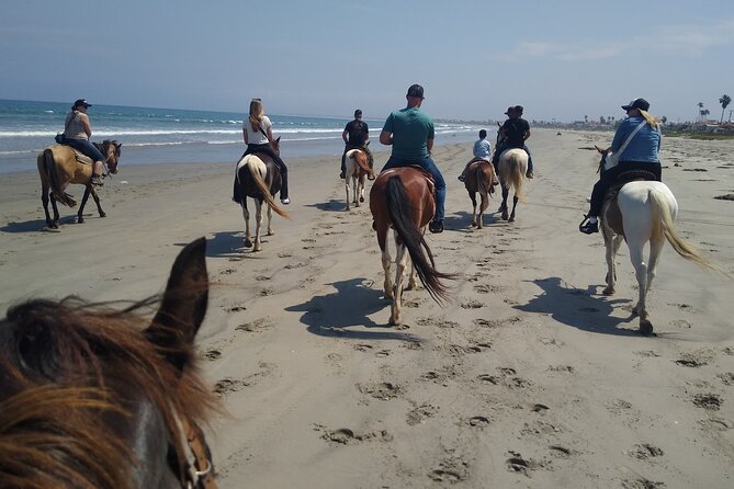 Horseback Riding on the Beach From Ensenada - Additional Information